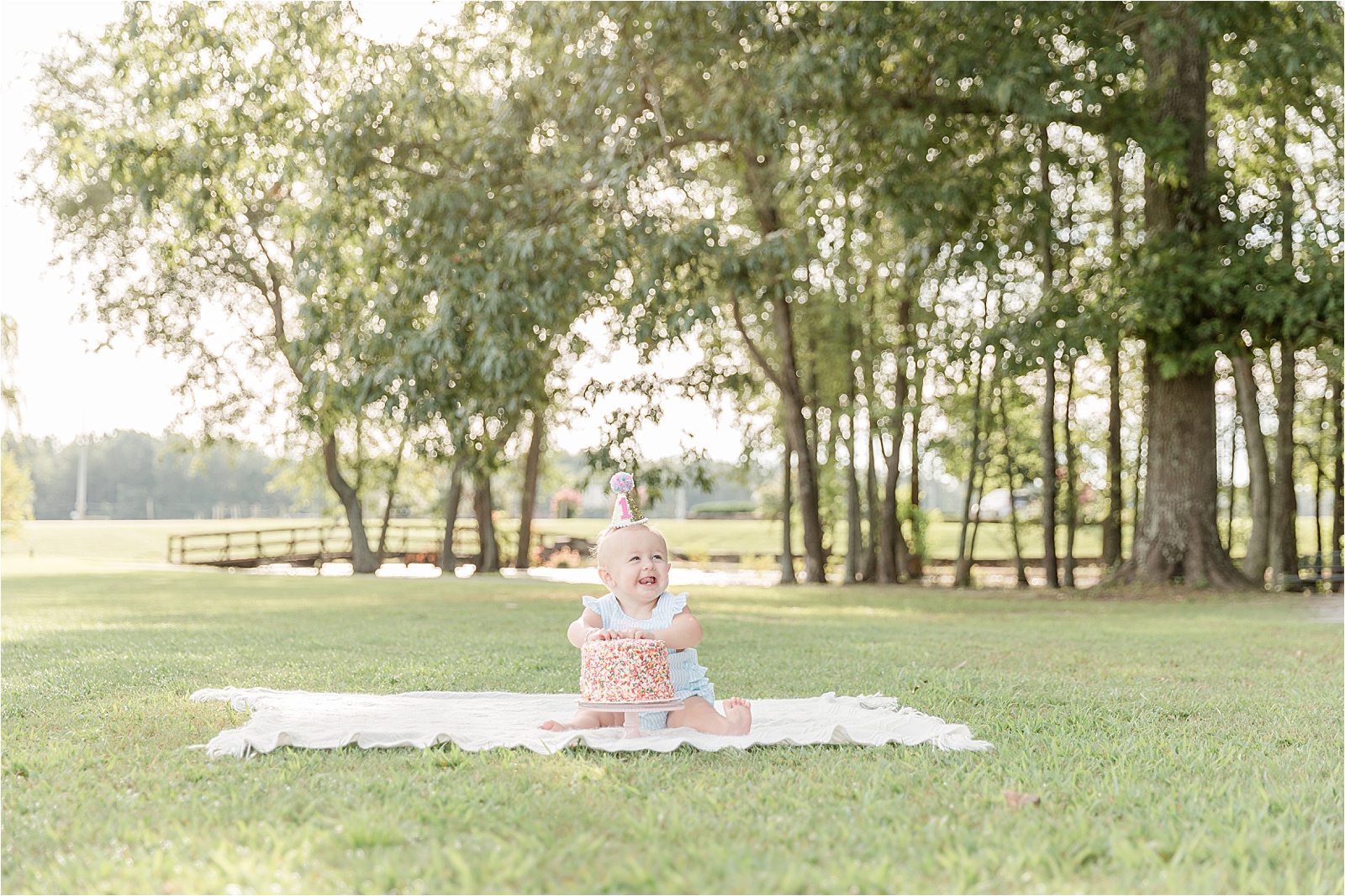 baby girl with 1 party hat and sprinkle cake by photographer Greenville, SC