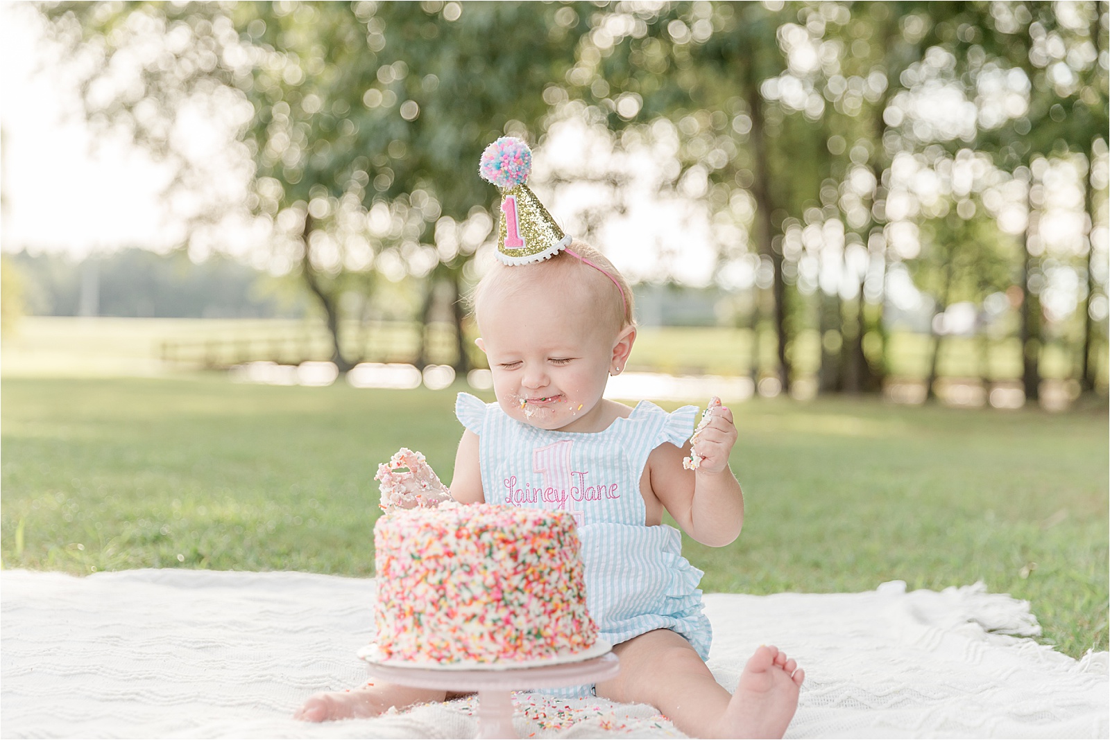 Cake Smash First Birthday Portraits By Photographer In Greenville SC 