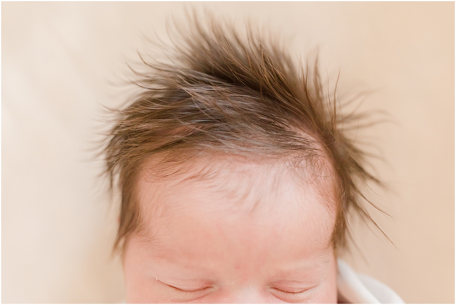 Newborn's hair by Greenville photographer Molly Hensley