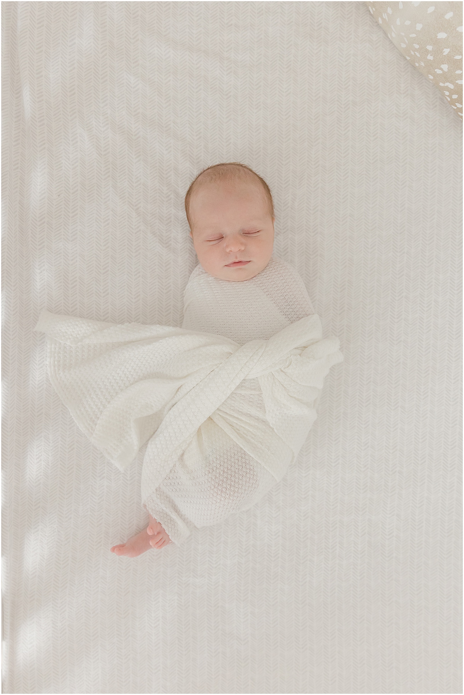 Chamblee newborn photography, lifestyle newborn photography, in home newborn photos, dogs and baby, dog inspired nursery