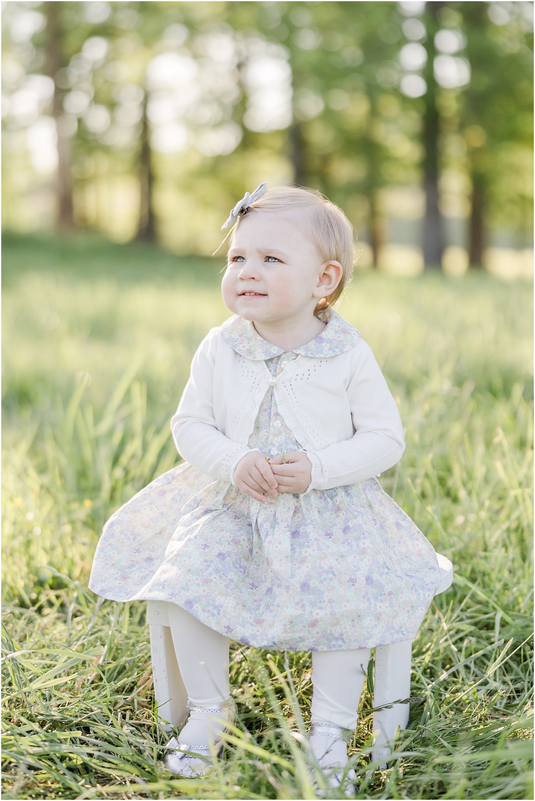 Portrait of a toddler in a dress sitting on a little stool in a grassy field.