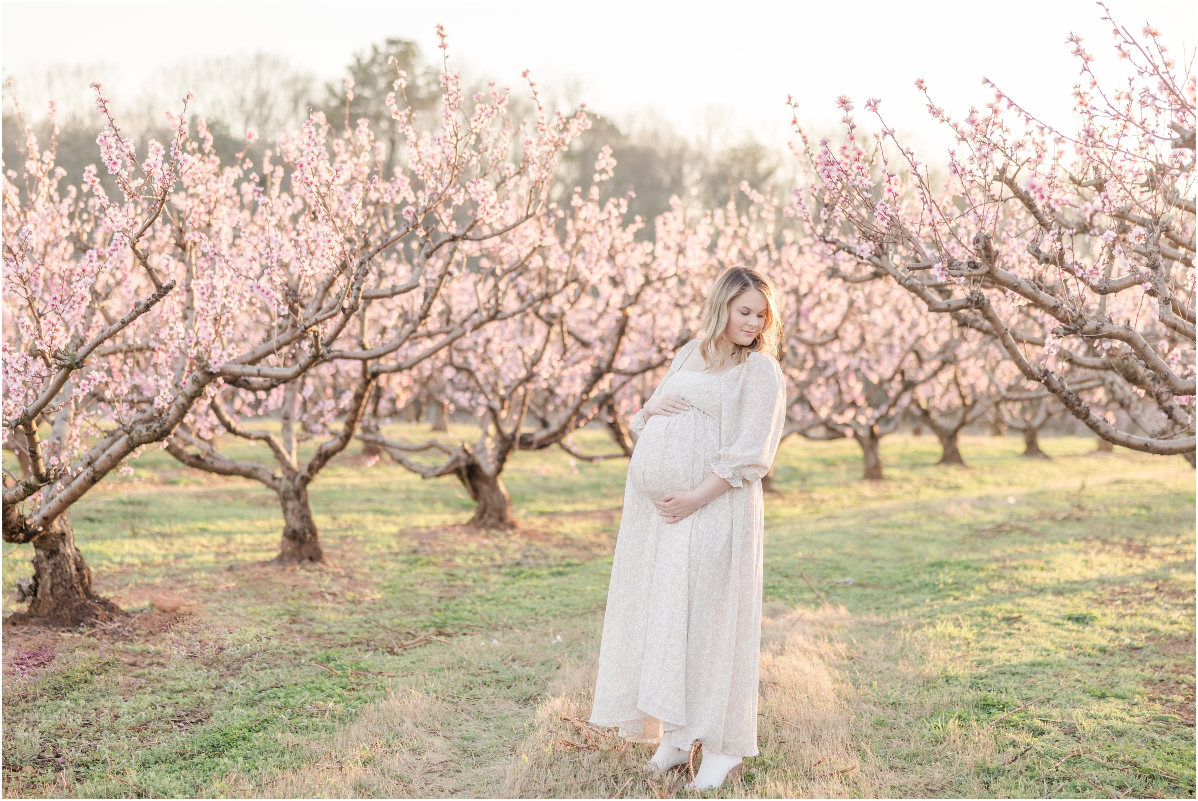 greenville-maternity-photos-peach-tree-blooms_0088.jpg