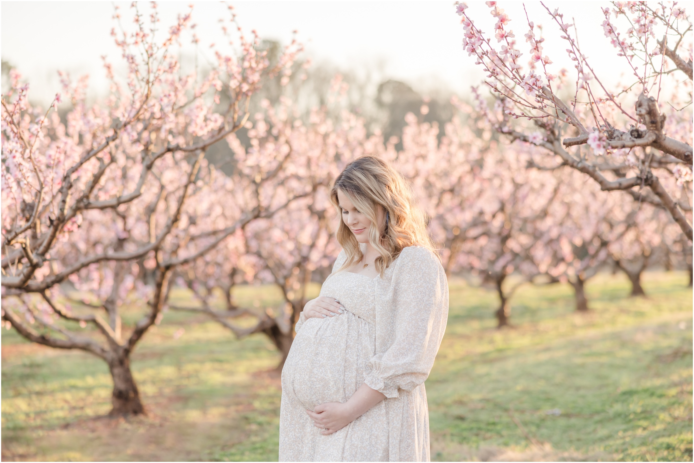 greenville-maternity-photos-peach-tree-blooms_0090.jpg