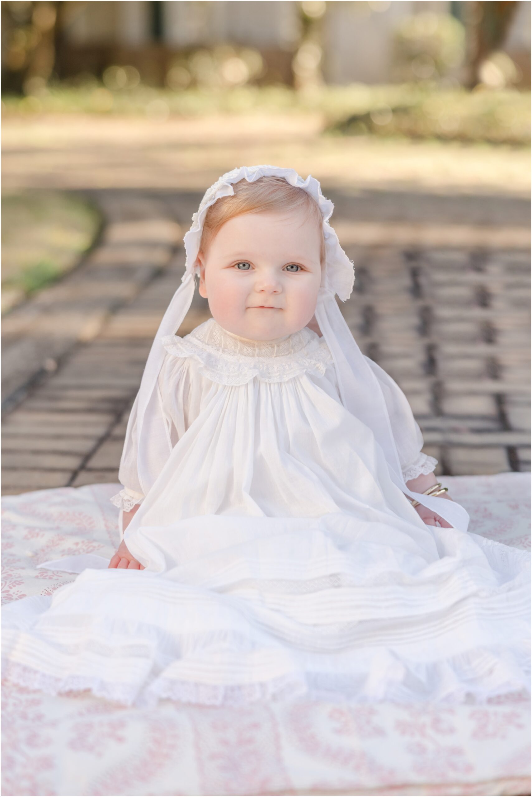 6 month old in a white gown sitting fora portrait by Greenville SC family photographer.