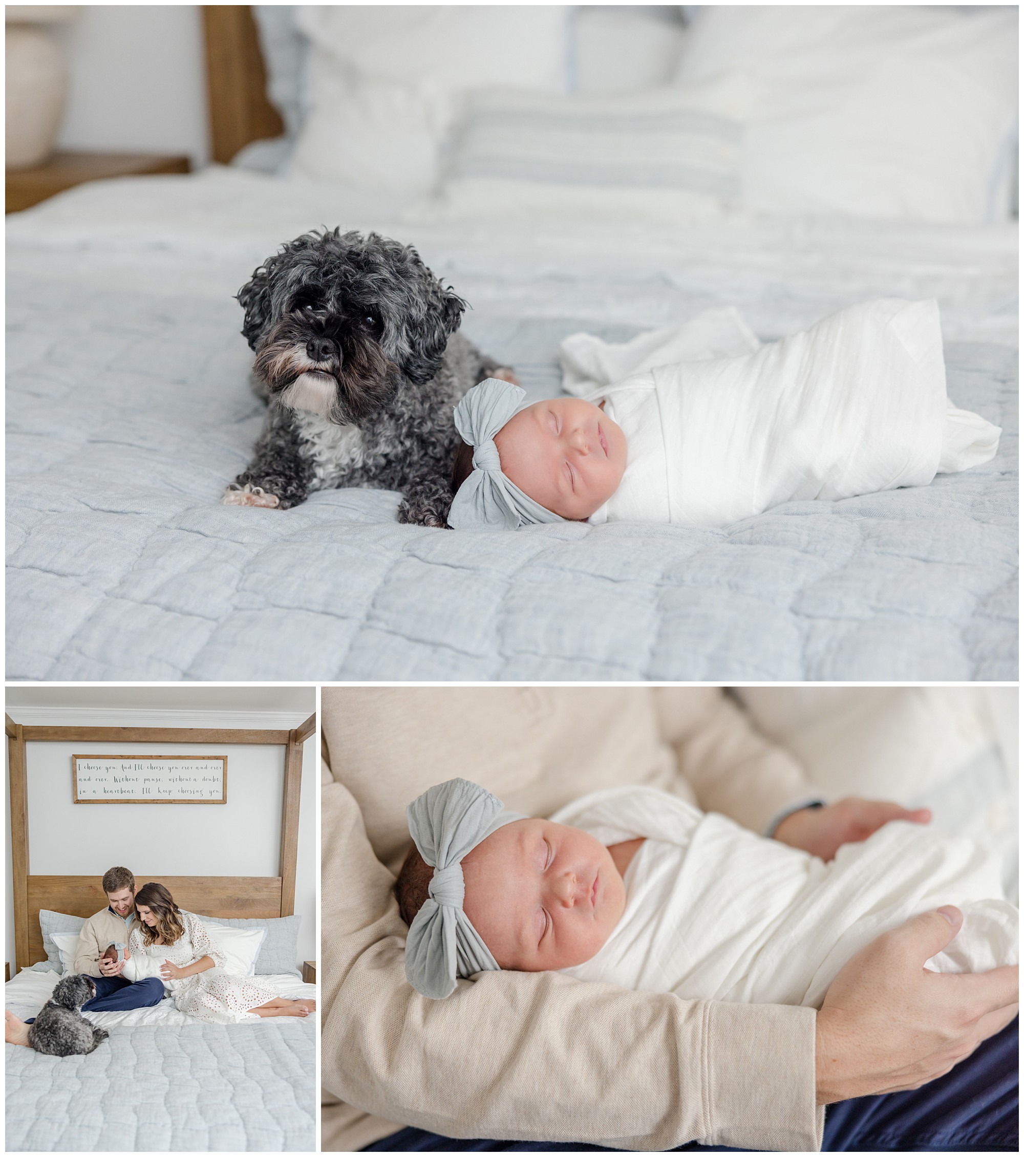 Newborn baby girl wrapped in a white swaddle with a blue bow in portraits with her parent sand small black dog taken by Greenville SC in. home newborn photographer.