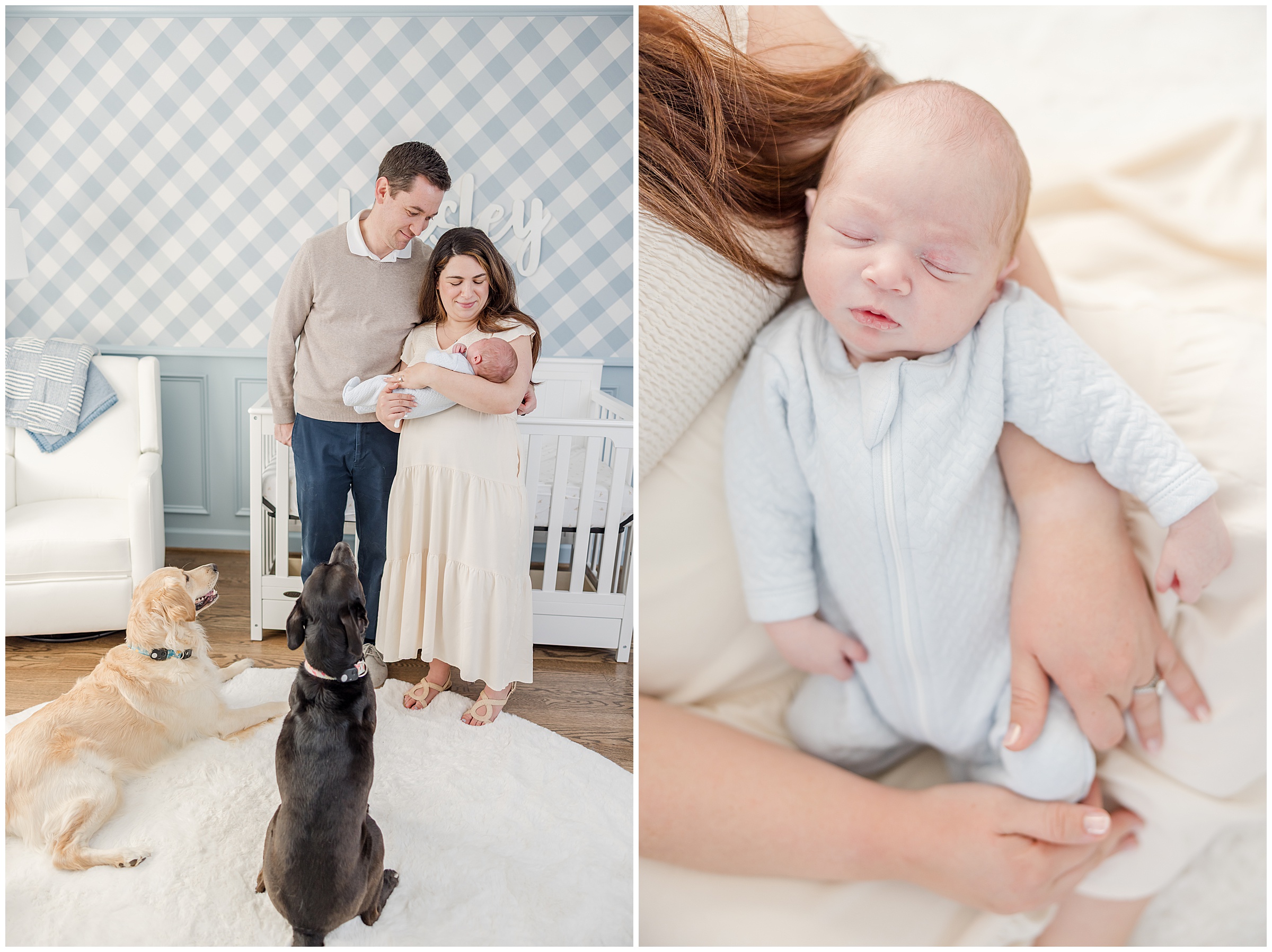 Portraits of new parents and their baby boy during a newborn session by Greenville photographer Molly Hensley.